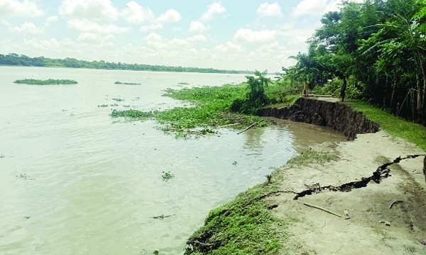ভাঙনে বেড়িবাঁধ ও চলাচলের জন্য নির্মিত সড়ক নদীতে বিলীন হচ্ছে : নয়া দিগন্ত