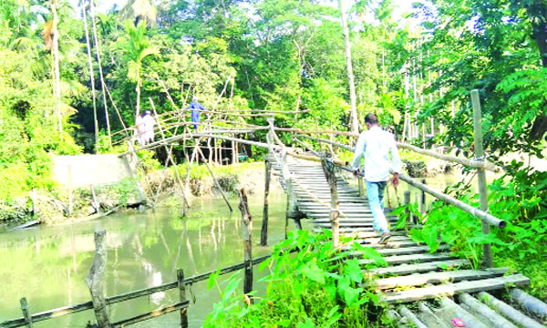নেয়ামতপুর গ্রামের ব্রিজটি ১০ বছর আগে ভেঙে যায়। এরপর থেকে সাঁকোটিই পারাপারে একমাত্র পথ : নয়া দিগন্ত