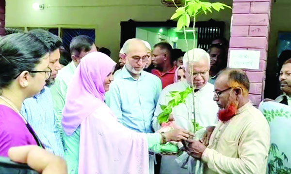 দিনাজপুরে তুলার চারা বিতরণ করছেন সমাজকল্যাণ মন্ত্রী ডা: জাহিদ হোসেন : নয়া দিগন্ত