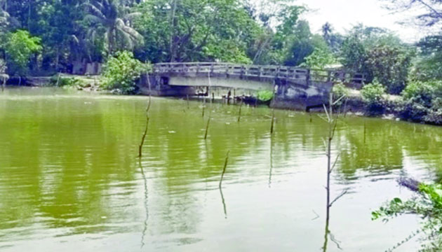 কলাপাড়ায় অপ্রশস্ত কালভার্ট : নয়া দিগন্ত