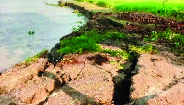 বিষখালী নদীর মানকি এলাকার ভাঙন : নয়া দিগন্ত