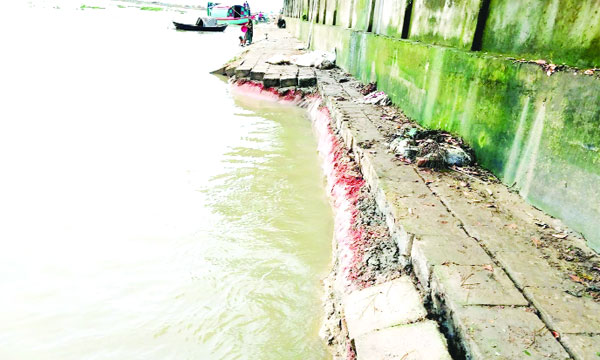 সিংপুর বাজারসংলগ্ন ধনু নদীর তীররক্ষা বাঁধের ব্লক ও জিও ব্যাগ ধসে গেছে : নয়া দিগন্ত