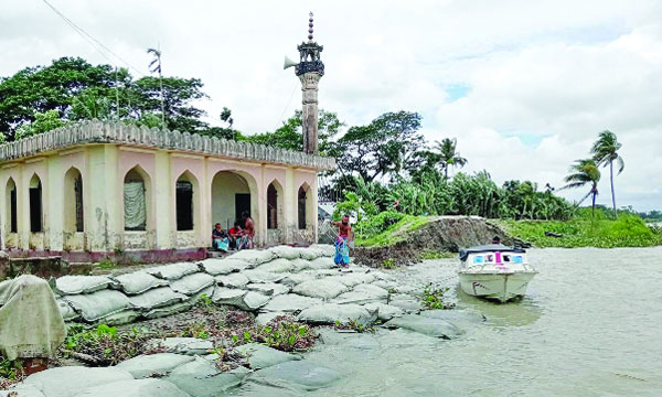 পিপড়াখালী গ্রামে পায়রার ভাঙনের পথে মসজিদটি। জিওব্যাগ ফেলে ভাঙন রক্ষার চেষ্টা : নয়া দিগন্ত