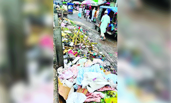 সরকারি বালিকা বিদ্যালয় সড়কে ময়লার স্তূপ : নয়া দিগন্ত