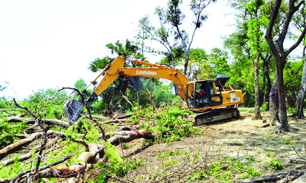 মৌডুবী ইউনিয়নের কেউর হাওলা ও ভাঙ্গার খাল এলাকায় স্কেভেটর দিয়ে গাছ উপড়ে ফেলা হচ্ছে	:  নয়া দিগন্ত