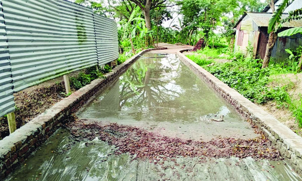 টিআর কাবিখা, কাবিটা প্রকল্পের আওতায় গ্রামীণ সড়ক নির্মাণ : নয়া দিগন্ত