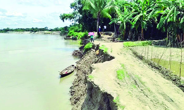 ব্রহ্মপুত্র নদের আগ্রাসী ভাঙনে বিলীন হচ্ছে গৌরীপুরের খোদাবক্সপুর গ্রামের একটি সড়ক : নয়া দিগন্ত