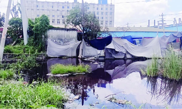 তারাবোর খাদুন এলাকায় ডায়িং কারখানার কালো পানিতে সয়লাব লোকালয় : নয়া দিগন্ত