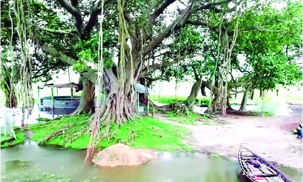 ইতিহাসের সাক্ষী রক্তদহ বিল পাড়ের ফকির মজনু শাহর মাজার