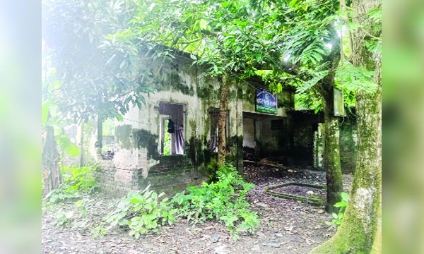 উজিরপুরে গাছপালায় ঢেকে গেছে স্যানিটারি ইন্সপেক্টরের কার্যালয়