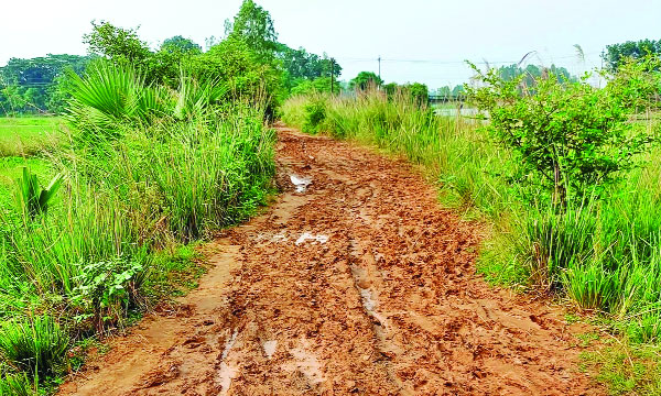 ঘাটাইলের ঘোড়াদহ খালপাড় সড়কের বেহাল অবস্থা : নয়া দিগন্ত
