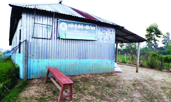 প্রতিবন্ধী স্কুল ঘরকে হাঁসের খামার হিসেবে ব্যবহার করা হচ্ছে  : নয়া দিগন্ত