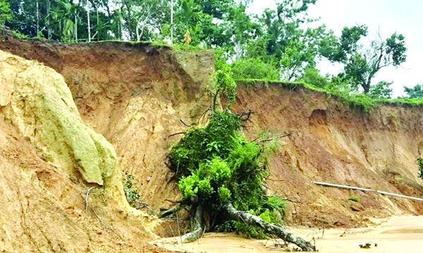 চুনারঘাটের সাতছড়ি ত্রিপুরা পল্লীর টিলা ধ্বংসের দৃশ্য	: নয়া দিগন্ত