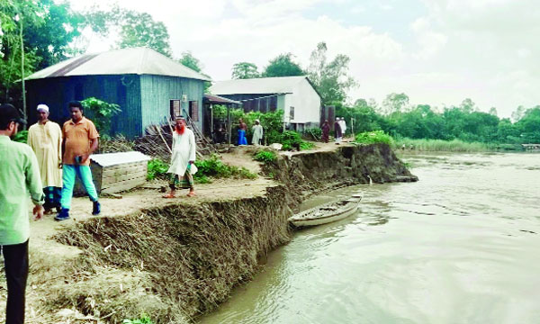 দৌলতপুরে যমুনা নদীর ভাঙনে বিলীন হচ্ছে বসতভিটা : নয়া দিগন্ত