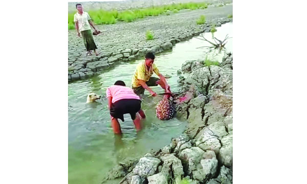 মিরসরাইয়ের মুহুরী প্রকল্পের এলাকায় প্রকাশ্যে একটি চিত্রা হরিণ জবাই করা হচ্ছে	: নয়া দিগন্ত