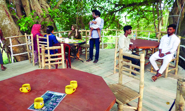 গাছের ডালে বসে চা-কফি পান ব্যতিক্রমী ‘বৃক্ষ বিলাস’