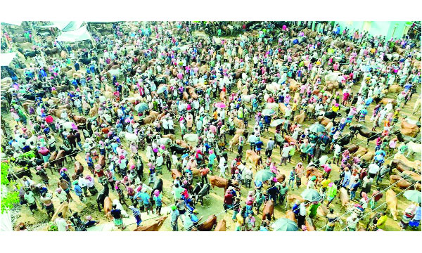 দামুড়হুদার একটি পশুর হাট : নয়া দিগন্ত
