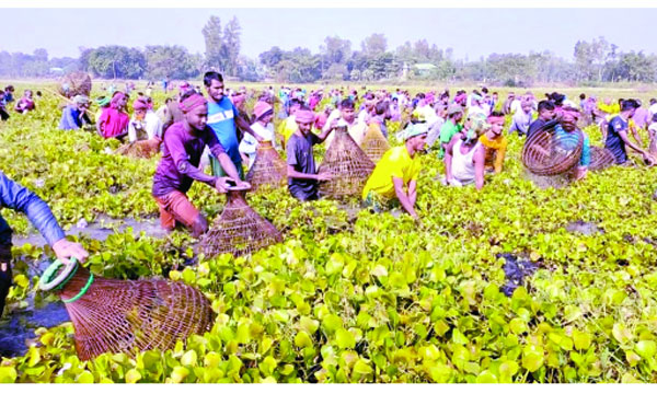 ঘিওরে বিলের পানিতে গ্রামবাংলার ঐতিহ্যের পলো বাইচ