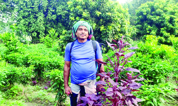 একই জমিতে ১০ ফসল চাষ করে লাভবান জুমারুল