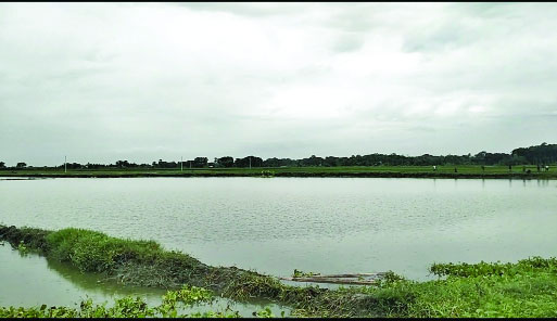 লাইকোর বিলের ৪৫ বিঘা জলাশয় দখল : নয়া দিগন্ত