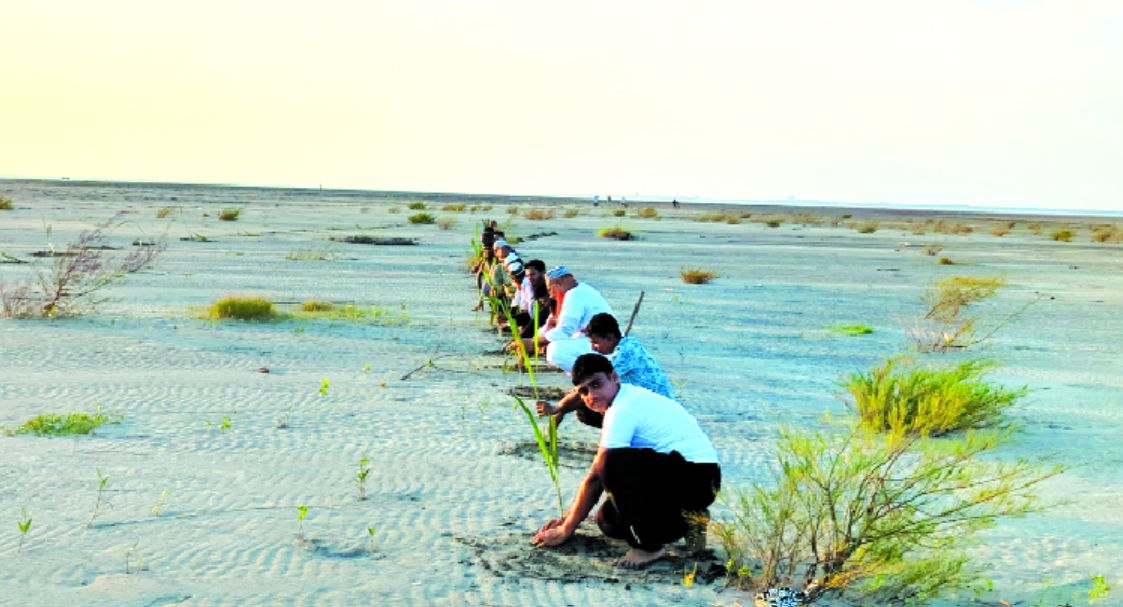 লালমনিরহাটে ফুলকপি ও বাঁধাকপির চারা পরির্চযা করছেন কৃষকরা
