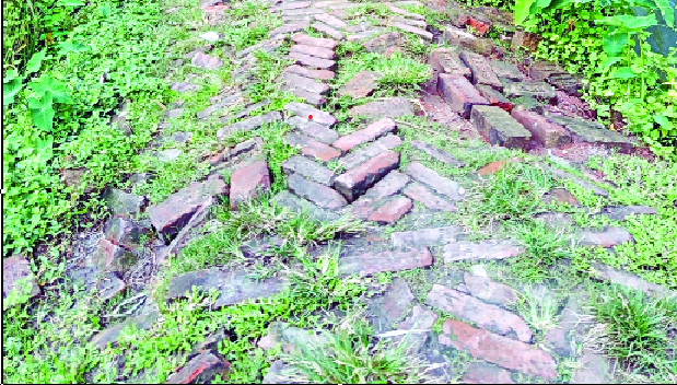 কেন্দুয়া মাসকা প্রাথমিক বিদ্যালয় সড়কের দৃশ্য : নয়া দিগন্ত