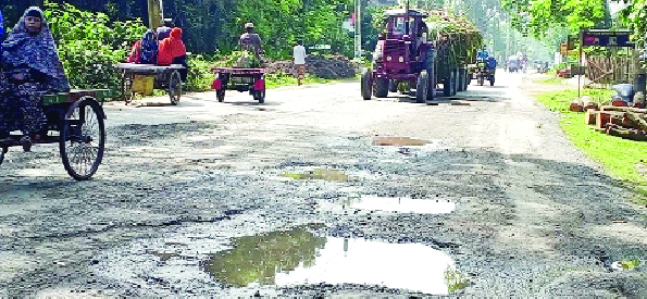 চুয়াডাঙ্গা-দর্শনা আঞ্চলিক সড়কজুড়ে বড় বড় গর্ত, উঠে গেছে বিটুমিন : নয়া দিগন্ত