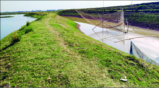 দোয়ারাবাজার উপজেলার নাইন্দা হাওরে ফসলরক্ষা বাঁধ : নয়া দিগন্ত
