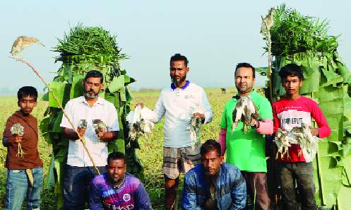 সিংড়ার চলনবিলে কিল্লা ঘরের ফাঁদ থেকে বক উদ্ধার করে অবমুক্ত করেন জীববৈচিত্র্য রক্ষা কমিটির সদস্যরা : নয়া দিগন্ত