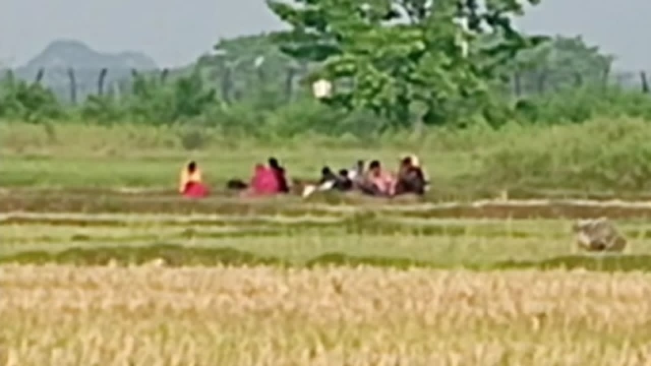 আটকাপড়া লোকজন