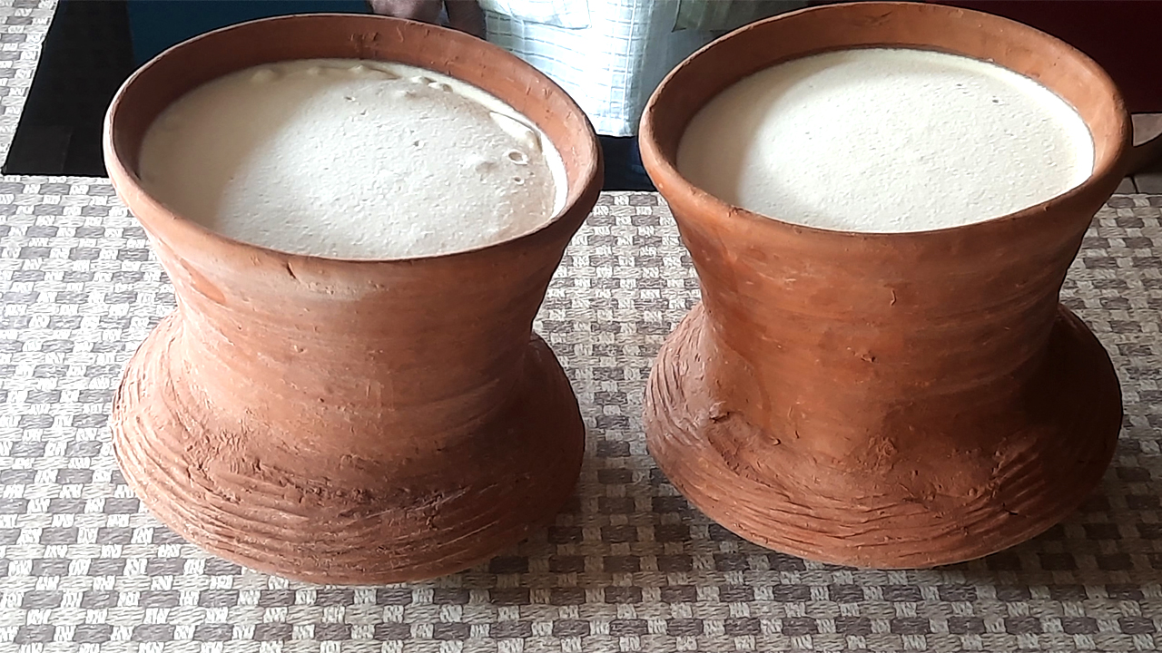 মহিষের দুধের টক দই