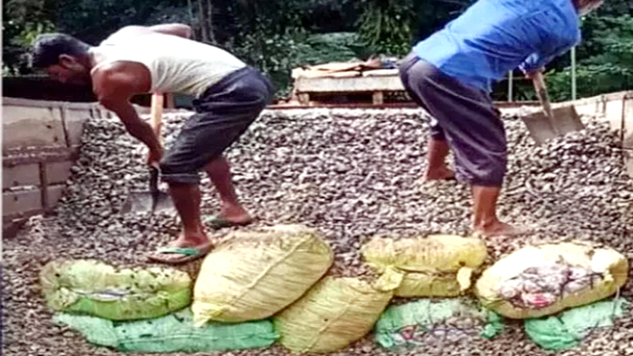 পাথরের নিচে লুকিয়ে রাখা হয় ভারতীয় চকলেট
