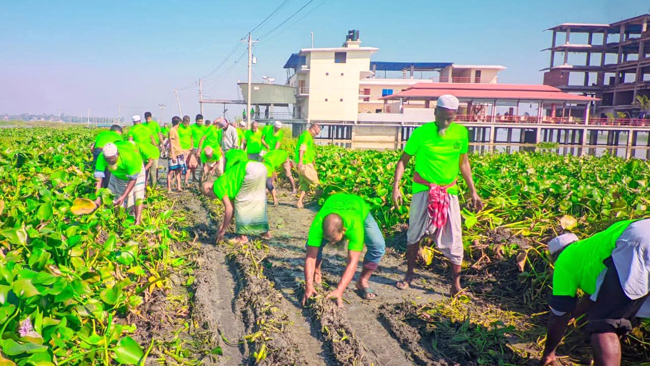 বিলের ৬ কিলোমিটার রাস্তার কচুরিপানা পরিষ্কার