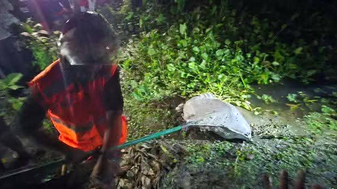 গৃহবধূর বস্তাবন্দি লাশ উদ্ধার