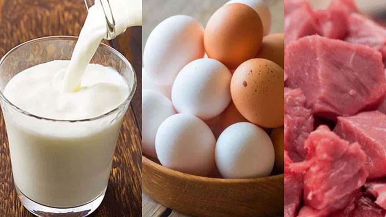 পর্যায়ক্রমে বিক্রয়কেন্দ্রের সংখ্যা আরো বাড়ানো হবে