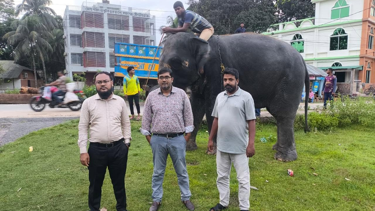 গাজীপুর সাফারি পার্কে ফেরত নেয়া হচ্ছে হাতি দু’টিকে