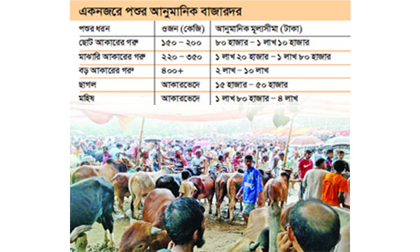 জমছে কোরবানির পশুর হাট