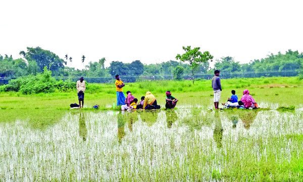 পঞ্চগড় জেলা সদরের হাড়িভাসা ইউনিয়নের বড়বাড়ি সীমান্তের ওপারে ভারতীয় শূন্যরেখায় কাদা পানির মধ্যে অবস্থান করছেন পুশইনের জন্য আনা ১০ জন : নয়া দিগন্ত