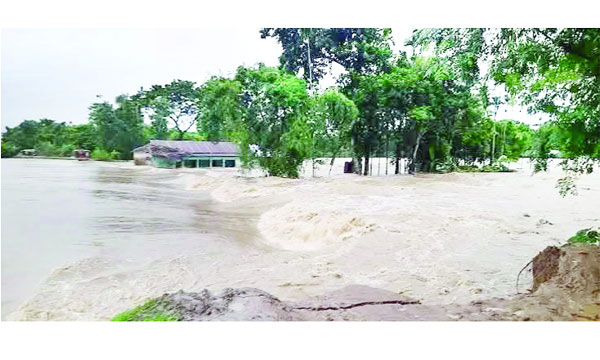 মৌলভীবাজারের রাজনগরে বন্যাকবলিত টেংরা ইউনিয়নের বিস্তীর্ণ এলাকা : নয়া দিগন্ত