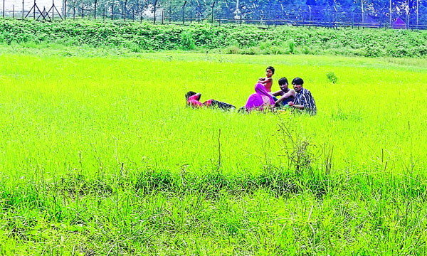 রৌমারী সীমান্তে ৫ জনকে বাংলাদেশে ঠেলে দেয় বিএসএফ : নয়া দিগন্ত