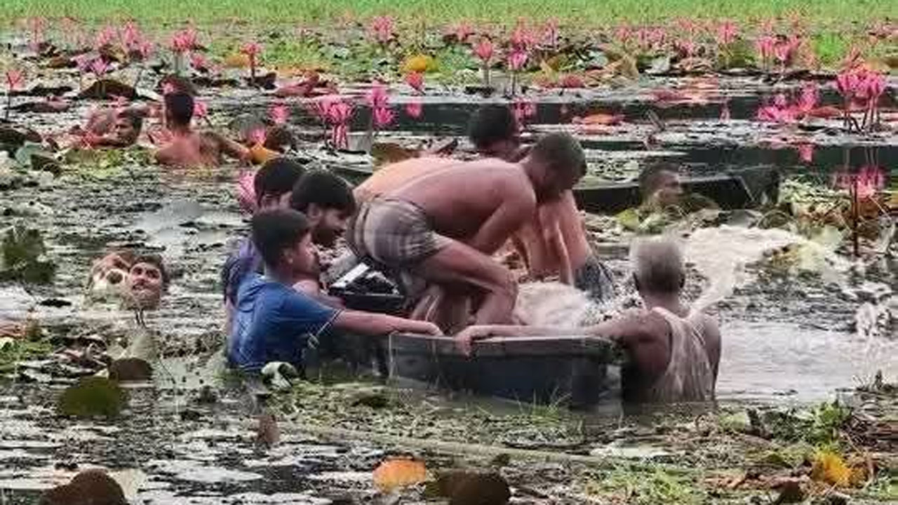 কাপাসিয়ায় শাপলা তুলতে বিলে নেমে নৌকা ডুবে দুই বন্ধুর মৃত্যু হয়েছে