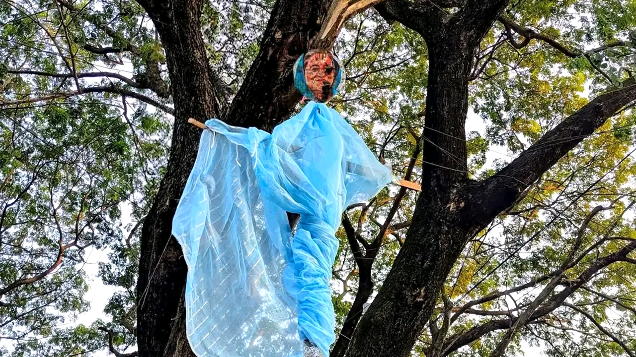 হাসিনার প্রতীকী কুশপুত্তলিকা গাছের ডালে ঝুলিয়ে ফাঁসির দৃশ্য উপস্থাপন করে শিক্ষার্থীরা