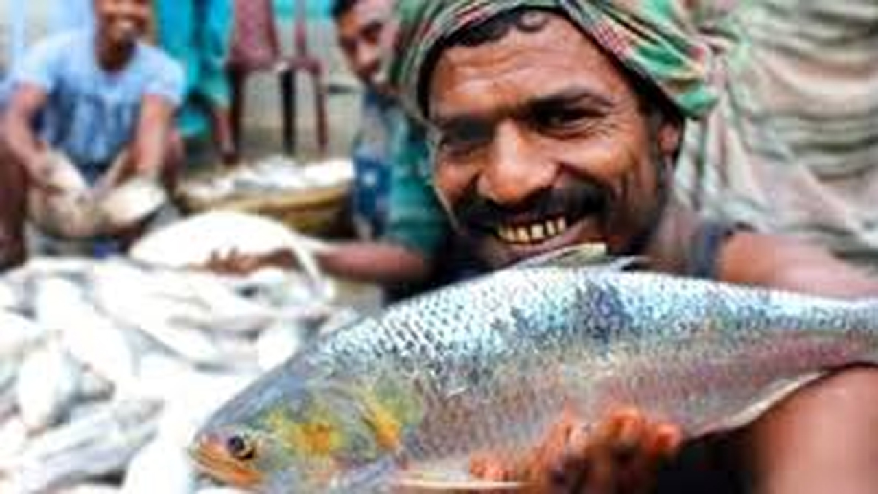 ইলিশ হাতে জেলের হাসি