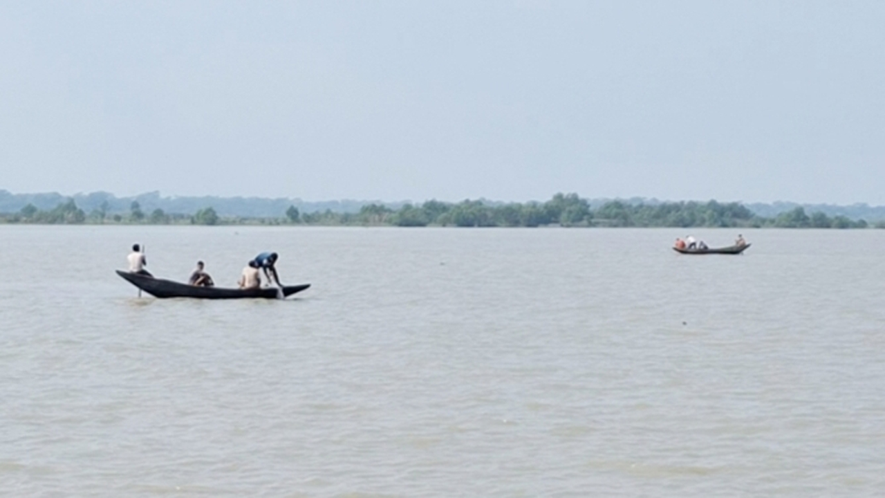 দিনদুপুরে প্রকাশ্যে চলছে ইলিশ মাছ নিধন