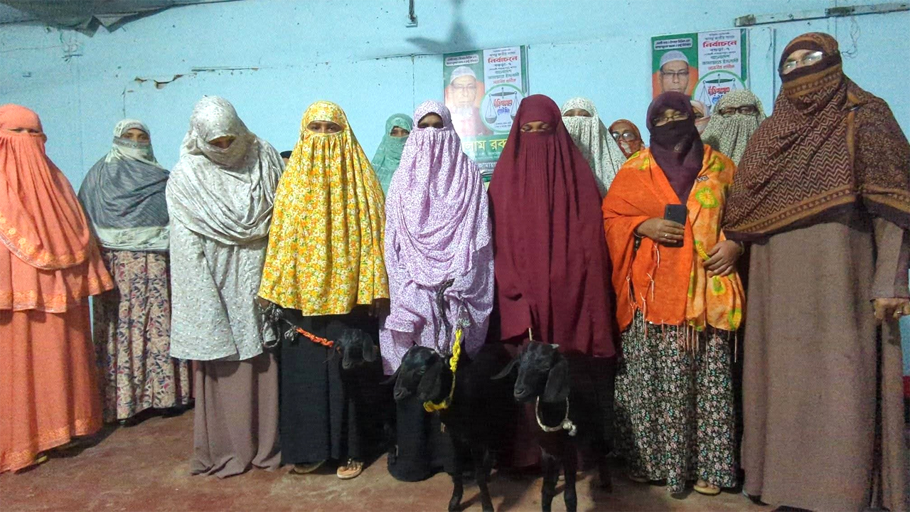 নারীদের মধ্যে ছাগল বিতরণ করল শাজাহানপুরে মহিলা জামায়াত