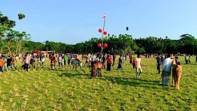 ঘোড়দৌঁড়
