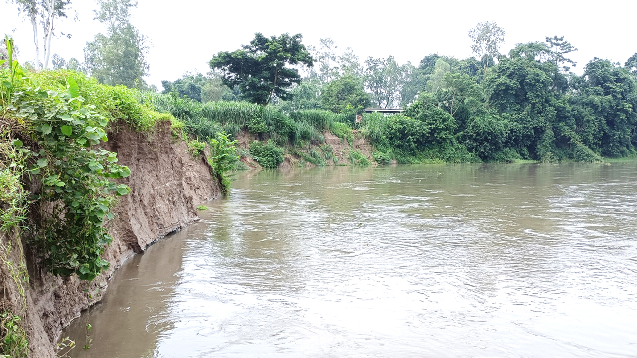 নদীতে প্রতিনিয়ত ভাঙছে আবাদি জমি