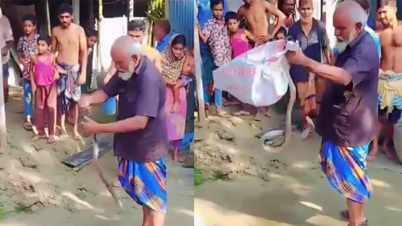 সাপ ধরতে গিয়ে সাপের কামড়ে বয়েজ উদ্দিন সাপুড়ের মৃত্যু হয়েছে