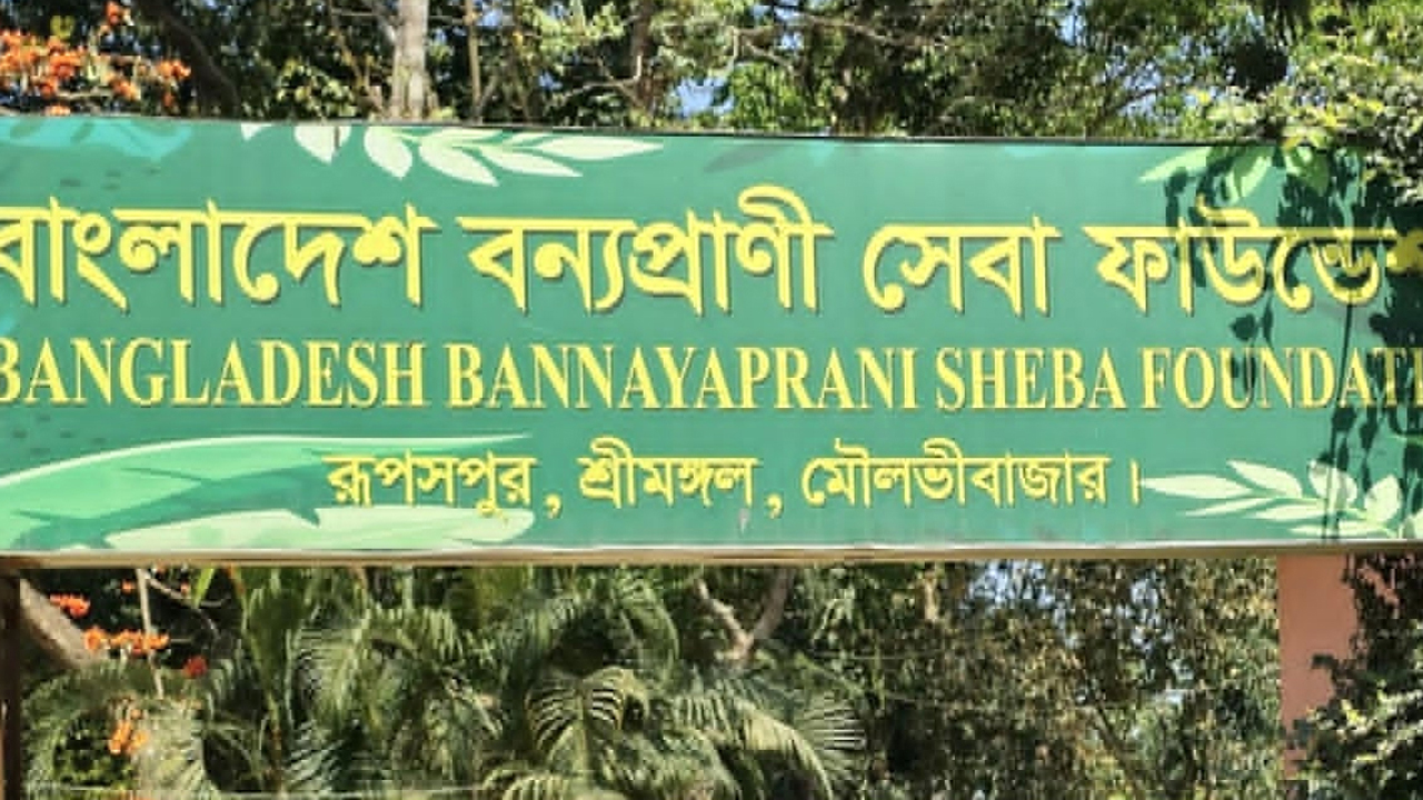 বাংলাদেশ বন্যপ্রাণী সেবা ফাউন্ডেশন