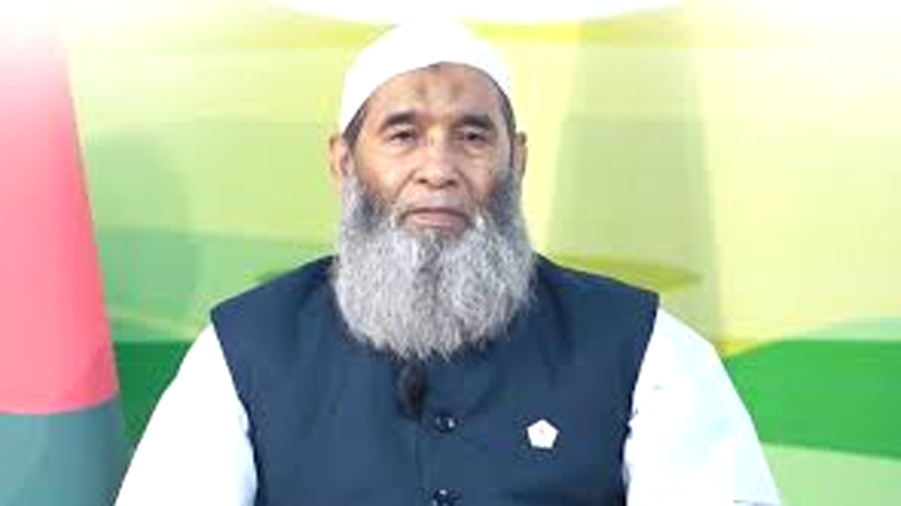 বক্তব্য রাখেন সাবেক এমপি অধ্যাপক মুজিবুর রহমান